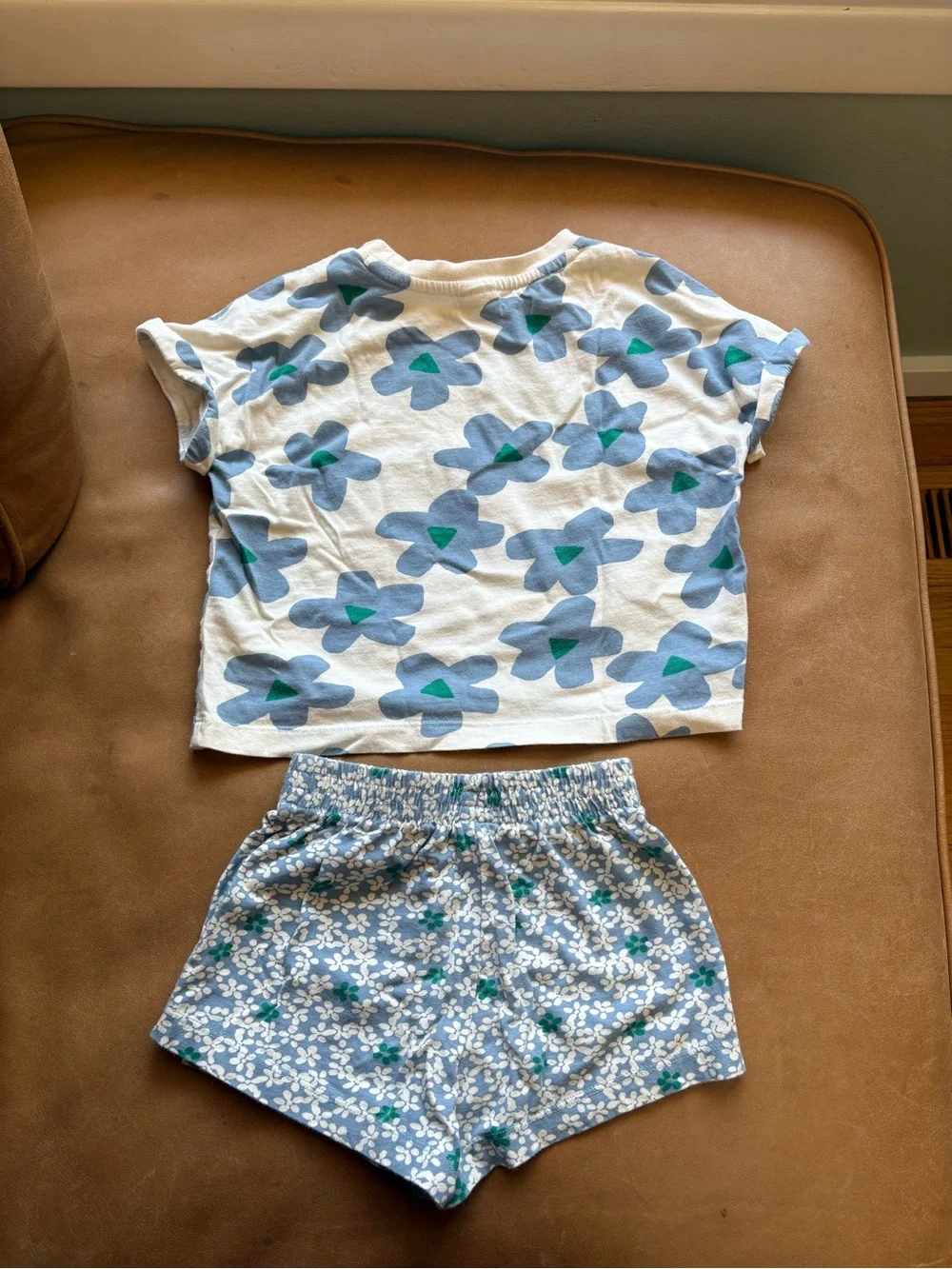 Hanna Andersson Floral T-Shirt and Shorts Set